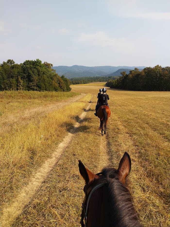 Horseback riding adventure through Elenas scenic meadows in Bulgaria.